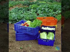 27 لتر خفيفة الوزن قابلة للطي صندوق الخضروات الفاكهة التحول شبكة الصندوق مع المقبضات